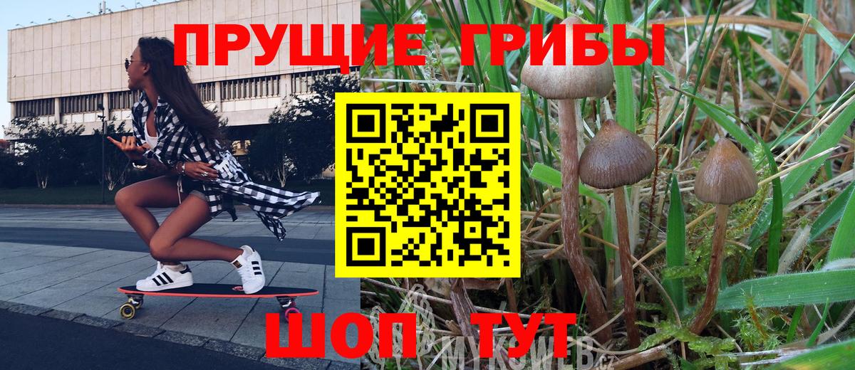 Галлюциногенные грибы Cubensis  Вход с VPN  Анжеро-Судженск  Галлюциногенные грибы Psilocybine cubensis 