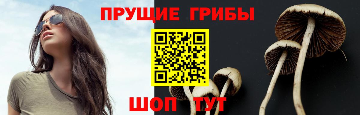 Псилоцибиновые грибы GOLDEN TEACHER Анжеро-Судженск